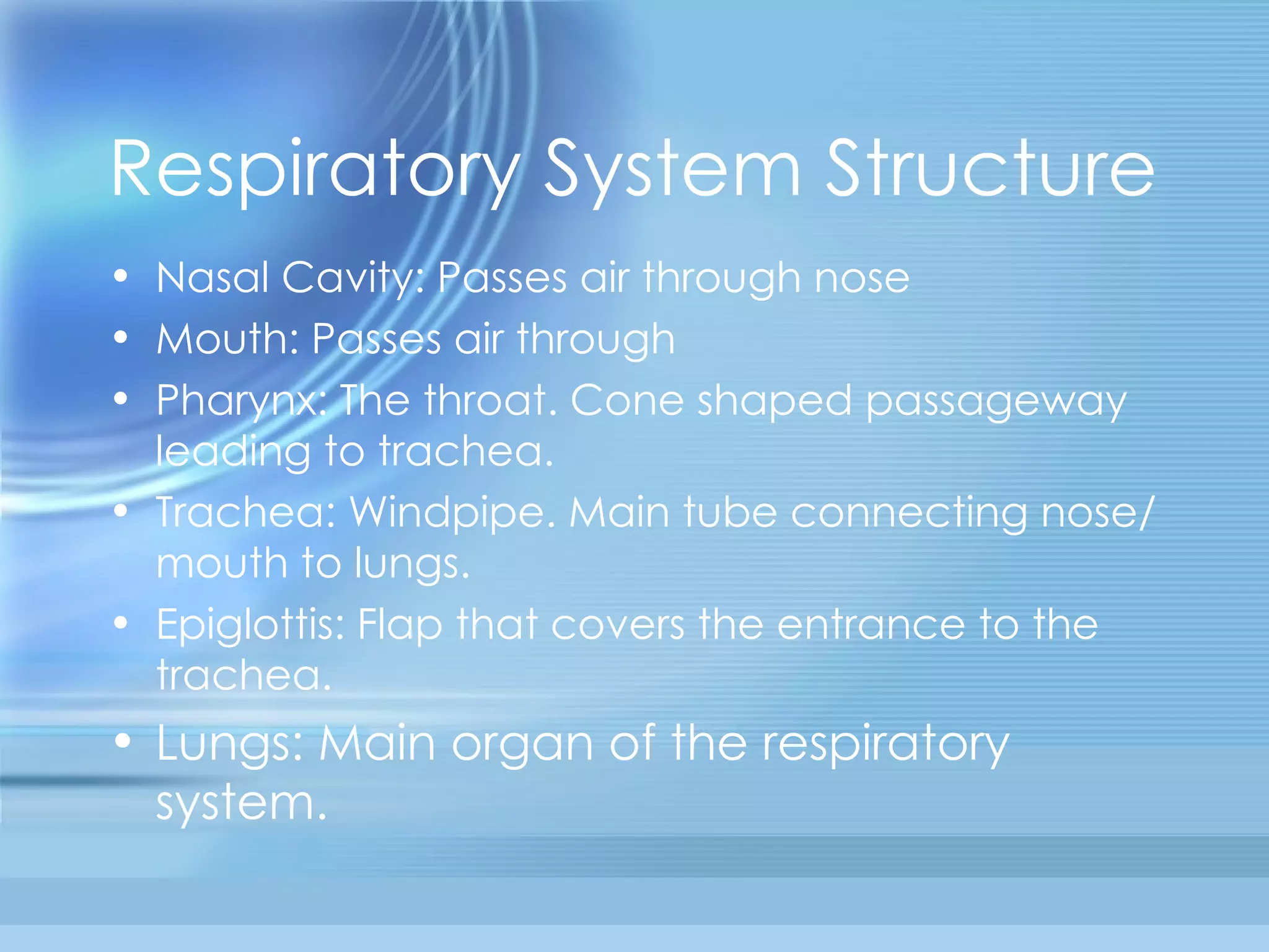 Respiratory System Structure Nasal Cavity: Passes air through nose Mouth: Passes air through Pharynx: The throat. Cone shaped passageway leading to trachea.  Trachea: Windpipe. Main tube connecting nose/mouth to lungs. Epiglottis: Flap that covers the entrance to the trachea. Lungs: Main organ of the respiratory system. 