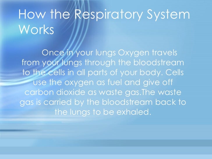 respiratory system powerpoint
