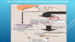 FIG. 3 PHARMACOKINETICS OF INHALED GLUCOCORTICOIDS.
 