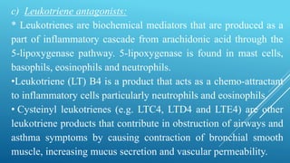 c) Leukotriene antagonists:
* Leukotrienes are biochemical mediators that are produced as a
part of inflammatory cascade from arachidonic acid through the
5-lipoxygenase pathway. 5-lipoxygenase is found in mast cells,
basophils, eosinophils and neutrophils.
•Leukotriene (LT) B4 is a product that acts as a chemo-attractant
to inflammatory cells particularly neutrophils and eosinophils.
• Cysteinyl leukotrienes (e.g. LTC4, LTD4 and LTE4) are other
leukotriene products that contribute in obstruction of airways and
asthma symptoms by causing contraction of bronchial smooth
muscle, increasing mucus secretion and vascular permeability.
 