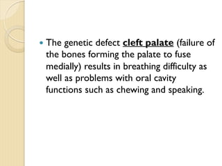 — The genetic defect cleft palate (failure of
the bones forming the palate to fuse
medially) results in breathing difficulty as
well as problems with oral cavity
functions such as chewing and speaking.
 