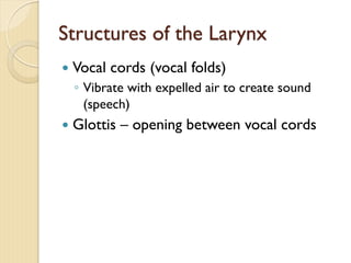 Structures of the Larynx
— Vocal cords (vocal folds)
◦ Vibrate with expelled air to create sound
(speech)
— Glottis – opening between vocal cords
 