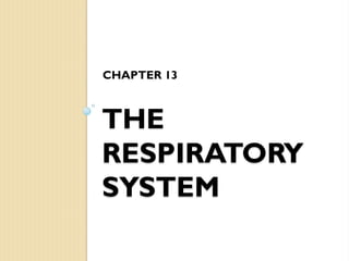 THE
RESPIRATORY
SYSTEM
CHAPTER 13
 
