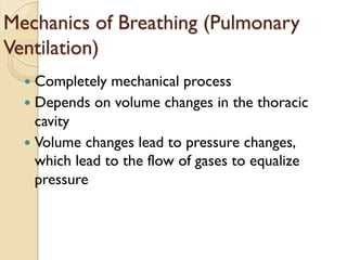 Mechanics of Breathing (Pulmonary
Ventilation)
— Completely mechanical process
— Depends on volume changes in the thoracic
cavity
— Volume changes lead to pressure changes,
which lead to the flow of gases to equalize
pressure
 