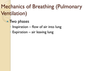 Mechanics of Breathing (Pulmonary
Ventilation)
— Two phases
◦ Inspiration – flow of air into lung
◦ Expiration – air leaving lung
 