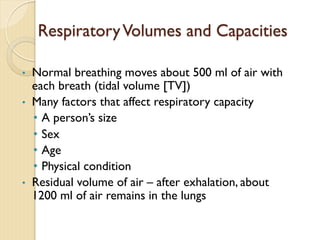 RespiratoryVolumes and Capacities
• Normal breathing moves about 500 ml of air with
each breath (tidal volume [TV])
• Many factors that affect respiratory capacity
• A person’s size
• Sex
• Age
• Physical condition
• Residual volume of air – after exhalation, about
1200 ml of air remains in the lungs
 