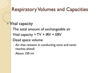 RespiratoryVolumes and Capacities
— Vital capacity
◦ The total amount of exchangeable air
◦ Vital capacity = TV + IRV + ERV
◦ Dead space volume
– Air that remains in conducting zone and never
reaches alveoli
– About 150 ml
 