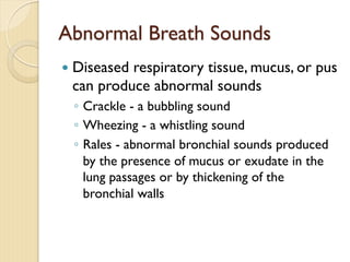 Abnormal Breath Sounds
— Diseased respiratory tissue, mucus, or pus
can produce abnormal sounds
◦ Crackle - a bubbling sound
◦ Wheezing - a whistling sound
◦ Rales - abnormal bronchial sounds produced
by the presence of mucus or exudate in the
lung passages or by thickening of the
bronchial walls
 