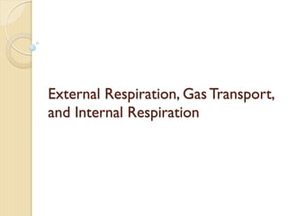External Respiration, Gas Transport,
and Internal Respiration
 