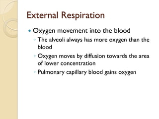 External Respiration
— Oxygen movement into the blood
◦ The alveoli always has more oxygen than the
blood
◦ Oxygen moves by diffusion towards the area
of lower concentration
◦ Pulmonary capillary blood gains oxygen
 