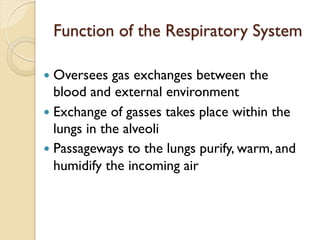 Function of the Respiratory System
— Oversees gas exchanges between the
blood and external environment
— Exchange of gasses takes place within the
lungs in the alveoli
— Passageways to the lungs purify, warm, and
humidify the incoming air
 