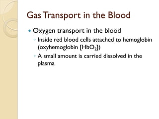 Gas Transport in the Blood
— Oxygen transport in the blood
◦ Inside red blood cells attached to hemoglobin
(oxyhemoglobin [HbO2])
◦ A small amount is carried dissolved in the
plasma
 