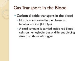 Gas Transport in the Blood
— Carbon dioxide transport in the blood
◦ Most is transported in the plasma as
bicarbonate ion (HCO3–)
◦ A small amount is carried inside red blood
cells on hemoglobin, but at different binding
sites than those of oxygen
 