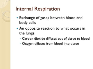Internal Respiration
— Exchange of gases between blood and
body cells
— An opposite reaction to what occurs in
the lungs
◦ Carbon dioxide diffuses out of tissue to blood
◦ Oxygen diffuses from blood into tissue
 