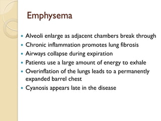 Emphysema
— Alveoli enlarge as adjacent chambers break through
— Chronic inflammation promotes lung fibrosis
— Airways collapse during expiration
— Patients use a large amount of energy to exhale
— Overinflation of the lungs leads to a permanently
expanded barrel chest
— Cyanosis appears late in the disease
 