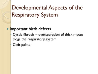 — Important birth defects
◦ Cystic fibrosis – oversecretion of thick mucus
clogs the respiratory system
◦ Cleft palate
Developmental Aspects of the
Respiratory System
 