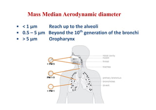 Mass Median Aerodynamic diameter
▪ < 1 µm Reach up to the alveoli
▪ 0.5 – 5 µm Beyond the 10th
generation of the bronchi
▪ > 5 µm Oropharynx
 