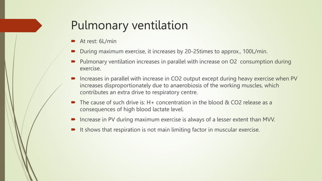 Image showcasing respiratory adjustments during exercise.pptx | Lung and Respiratory ...