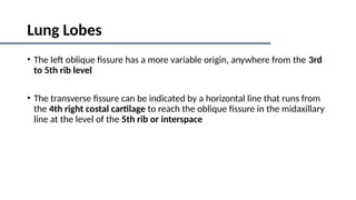 Respiratory Anatomy and anesthesiology.ppt