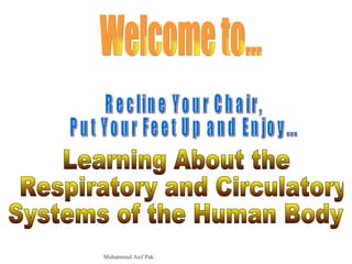 Welcome to... Recline Your Chair,  Put Your Feet Up and Enjoy... Learning About the Respiratory and Circulatory Systems of the Human Body Muhammad Asif Pak 