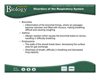 Go to
Section:
•  Bronchitis
–  Inflammation of the bronchial linings, where air passages
become narrower and filled with mucous, making breathing
difficult and causing coughing
•  Asthma
–  Allergic reaction which causes the bronchial tubes to narrow,
resulting in difficulty breathing
•  Emphysema
–  The walls of the alveoli break down, decreasing the surface
area for gas exchange
–  Shortness of breath, difficulty in breathing and decreased
lung capacity
Disorders of the Respiratory System
 