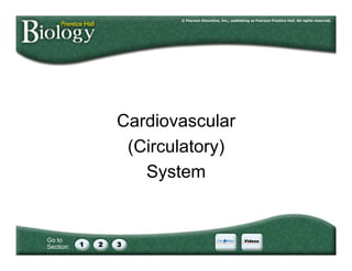 Go to
Section:
Cardiovascular
(Circulatory)
System
 