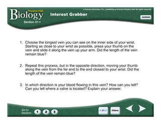 Go to
Section:
1. Choose the longest vein you can see on the inner side of your wrist.
Starting as close to your wrist as possible, press your thumb on the
vein and slide it along the vein up your arm. Did the length of the vein
remain blue?
2. Repeat this process, but in the opposite direction, moving your thumb
along the vein from the far end to the end closest to your wrist. Did the
length of the vein remain blue?
3. In which direction is your blood flowing in this vein? How can you tell?
Can you tell where a valve is located? Explain your answer.
Section 37-1
Interest Grabber
 