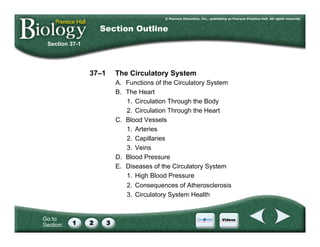 Go to
Section:
37–1 The Circulatory System
A. Functions of the Circulatory System
B. The Heart
1. Circulation Through the Body
2. Circulation Through the Heart
C. Blood Vessels
1. Arteries
2. Capillaries
3. Veins
D. Blood Pressure
E. Diseases of the Circulatory System
1. High Blood Pressure
2. Consequences of Atherosclerosis
3. Circulatory System Health
Section 37-1
Section Outline
 