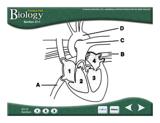 Go to
Section:
Section 37-1
 