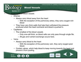 Go to
Section:
•  Three types of blood vessels
–  Arteries
•  Always carry blood away from the heart
–  With the exception of the pulmonary artery, they carry oxygen-rich
blood
•  They have very thick walls that help them withstand the pressure
produced when the heart contracts and blood is pushed in.
–  Capillaries
•  The smallest of the blood vessels
–  Only one-cell thick, so blood cells can only pass through single file.
–  All gas and nutrient exchange occurs here.
–  Veins
•  Always carry blood to the heart
–  With the exception of the pulmonary vein, they carry oxygen-poor
blood.
•  Contain valves, which help blood to keep moving towards the heart and
prevent it from pooling.
Section 37-1
Blood Vessels
 
