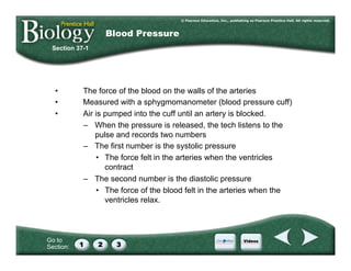Go to
Section:
•  The force of the blood on the walls of the arteries
•  Measured with a sphygmomanometer (blood pressure cuff)
•  Air is pumped into the cuff until an artery is blocked.
–  When the pressure is released, the tech listens to the
pulse and records two numbers
–  The first number is the systolic pressure
•  The force felt in the arteries when the ventricles
contract
–  The second number is the diastolic pressure
•  The force of the blood felt in the arteries when the
ventricles relax.
Section 37-1
Blood Pressure
 