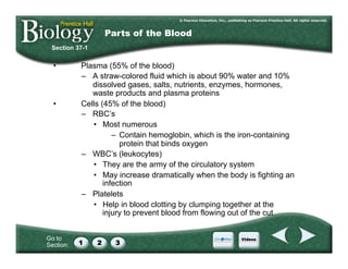 Go to
Section:
•  Plasma (55% of the blood)
–  A straw-colored fluid which is about 90% water and 10%
dissolved gases, salts, nutrients, enzymes, hormones,
waste products and plasma proteins
•  Cells (45% of the blood)
–  RBC’s
•  Most numerous
–  Contain hemoglobin, which is the iron-containing
protein that binds oxygen
–  WBC’s (leukocytes)
•  They are the army of the circulatory system
•  May increase dramatically when the body is fighting an
infection
–  Platelets
•  Help in blood clotting by clumping together at the
injury to prevent blood from flowing out of the cut
Section 37-1
Parts of the Blood
 