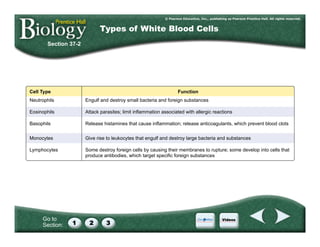 Go to
Section:
Section 37-2
Types of White Blood Cells
Cell Type
Neutrophils
Eosinophils
Basophils
Monocytes
Lymphocytes
Function
Engulf and destroy small bacteria and foreign substances
Attack parasites; limit inflammation associated with allergic reactions
Release histamines that cause inflammation; release anticoagulants, which prevent blood clots
Give rise to leukocytes that engulf and destroy large bacteria and substances
Some destroy foreign cells by causing their membranes to rupture; some develop into cells that
produce antibodies, which target specific foreign substances
 