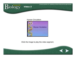 Video 1
Click the image to play the video segment.
Video 2
Human Circulation
 