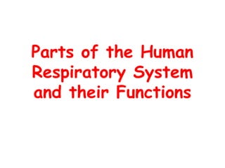 respiratory and circulatory system.pptxs | PPTX