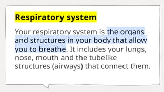 Respiratory and Circulatory Sytems.pptpptx | PPTX