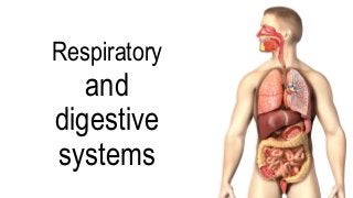 Respiratory
and
digestive
systems
 