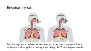 Respiratory and heart rate LABORATORY AND THEORY | PPTX
