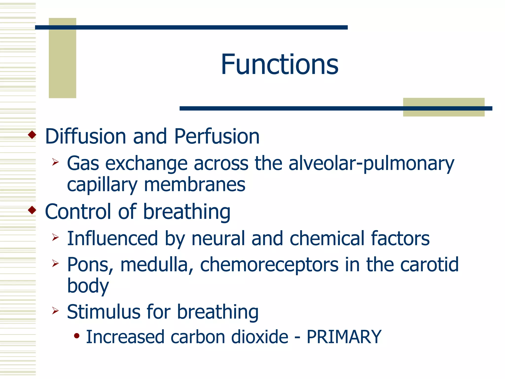 Respiratory assessment | PPT