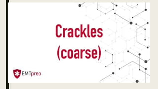 Respiratory assessment.pdf