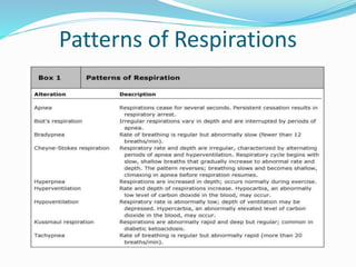 Patterns of Respirations
 