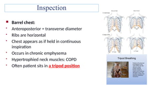 respiratory assessment -cardiac and peripheral vascular system | PPTX