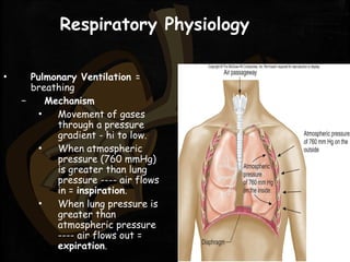 Respiratory Physiology
▪ Pulmonary Ventilation =
breathing
– Mechanism
▪ Movement of gases
through a pressure
gradient - hi to low.
▪ When atmospheric
pressure (760 mmHg)
is greater than lung
pressure ---- air flows
in = inspiration.
▪ When lung pressure is
greater than
atmospheric pressure
---- air flows out =
expiration.
 