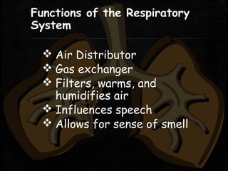 Functions of the Respiratory
System
 Air Distributor
 Gas exchanger
 Filters, warms, and
humidifies air
 Influences speech
 Allows for sense of smell
 