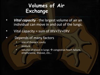 Volumes of Air
Exchange
▪ Vital capacity - the largest volume of air an
individual can move in and out of the lungs.
▪ Vital capacity = sum of IRV+TV+ERV
▪ Depends of many factors
▪ size of thoracic cavity
▪ posture
▪ volume of blood in lungs  congestive heart failure,
emphysema, disease, etc…
 
