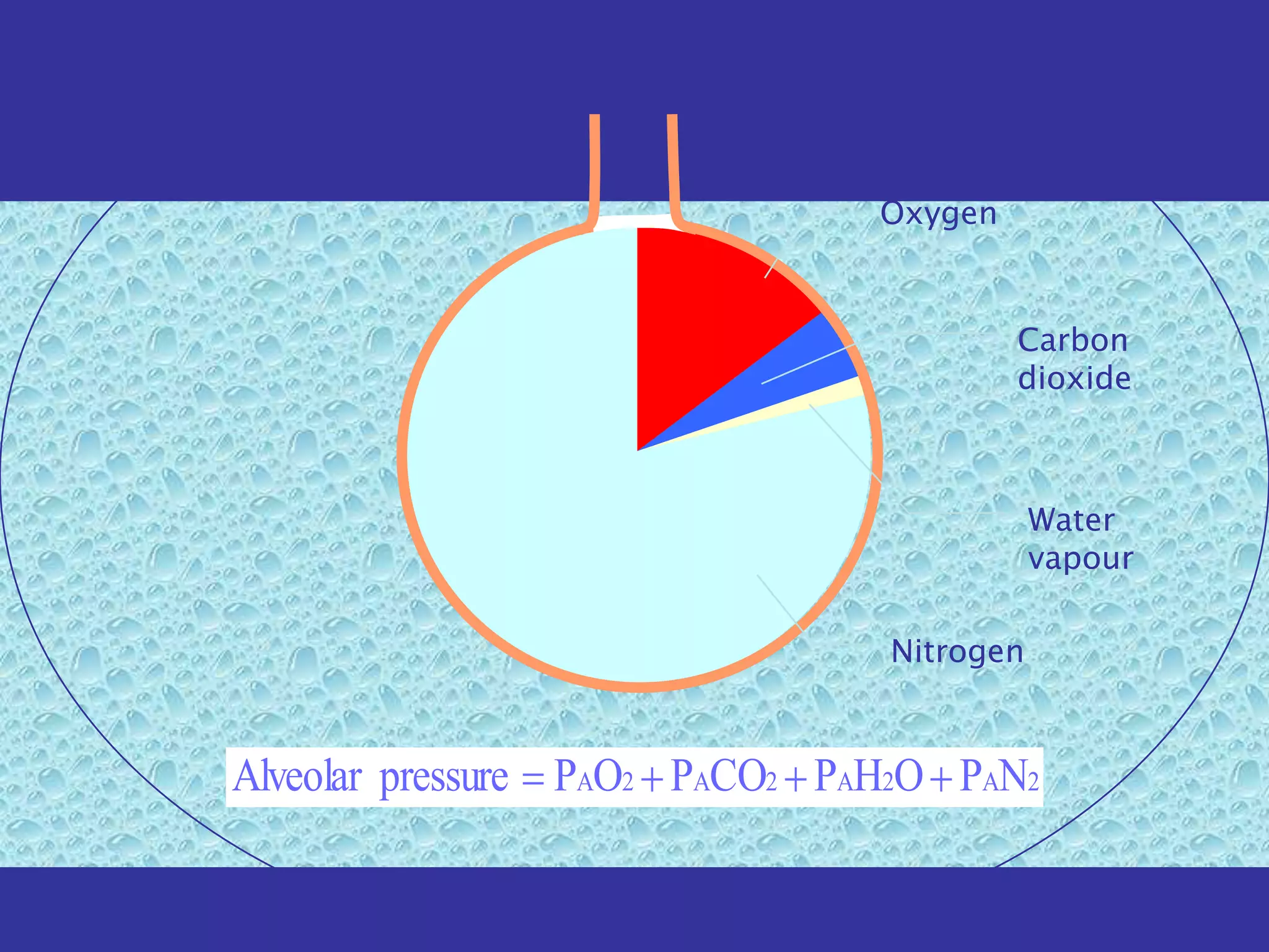 Oxygen



                                        Carbon
                                        dioxide



                                          Water
                                          vapour

                               Nitrogen



Alveolar pressure PAO2 PACO2 PAH2O PAN2
 