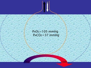 PAO2=105 mmHg
      PACO2=37 mmHg




75%                   100%
 