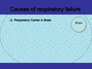 Causes of respiratory failure
 Respiratory Center in Brain
                                Brain
 