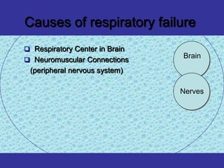 Causes of respiratory failure
 Respiratory Center in Brain
                                Brain
 Neuromuscular Connections
 (peripheral nervous system)

                                Nerves
 