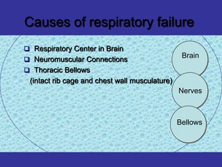 Causes of respiratory failure
 Respiratory Center in Brain
                                                 Brain
 Neuromuscular Connections
 Thoracic Bellows
 (intact rib cage and chest wall musculature)
                                                Nerves



                                                Bellows
 